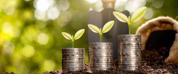 Investing on a shoestring